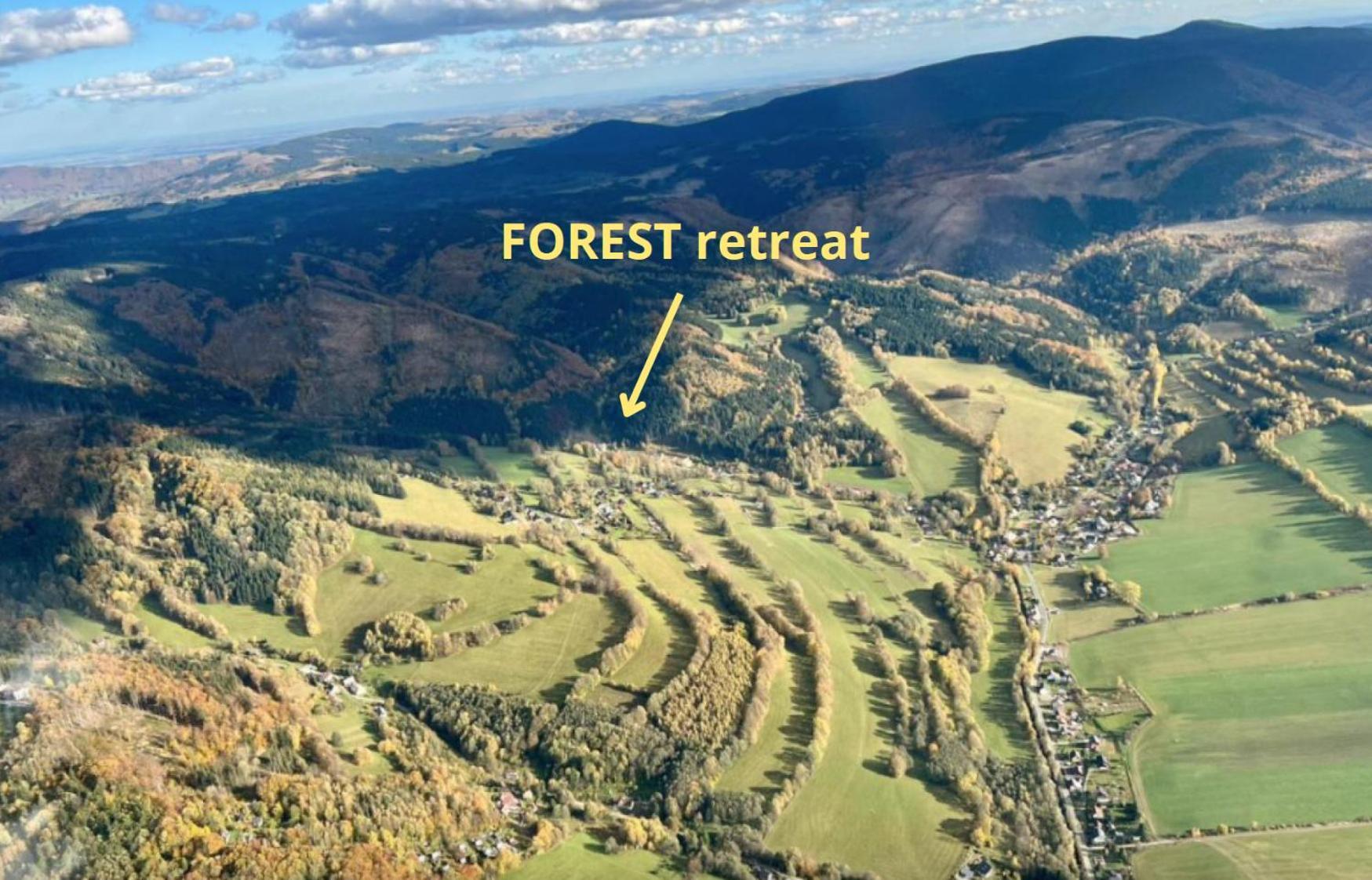 Apartmany New Forest Retreat - U Lesa, S Parkovanim, 300Mbit Internet Jeseník Dış mekan fotoğraf