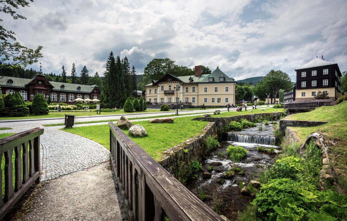 Apartmany New Forest Retreat - U Lesa, S Parkovanim, 300Mbit Internet Jeseník Dış mekan fotoğraf
