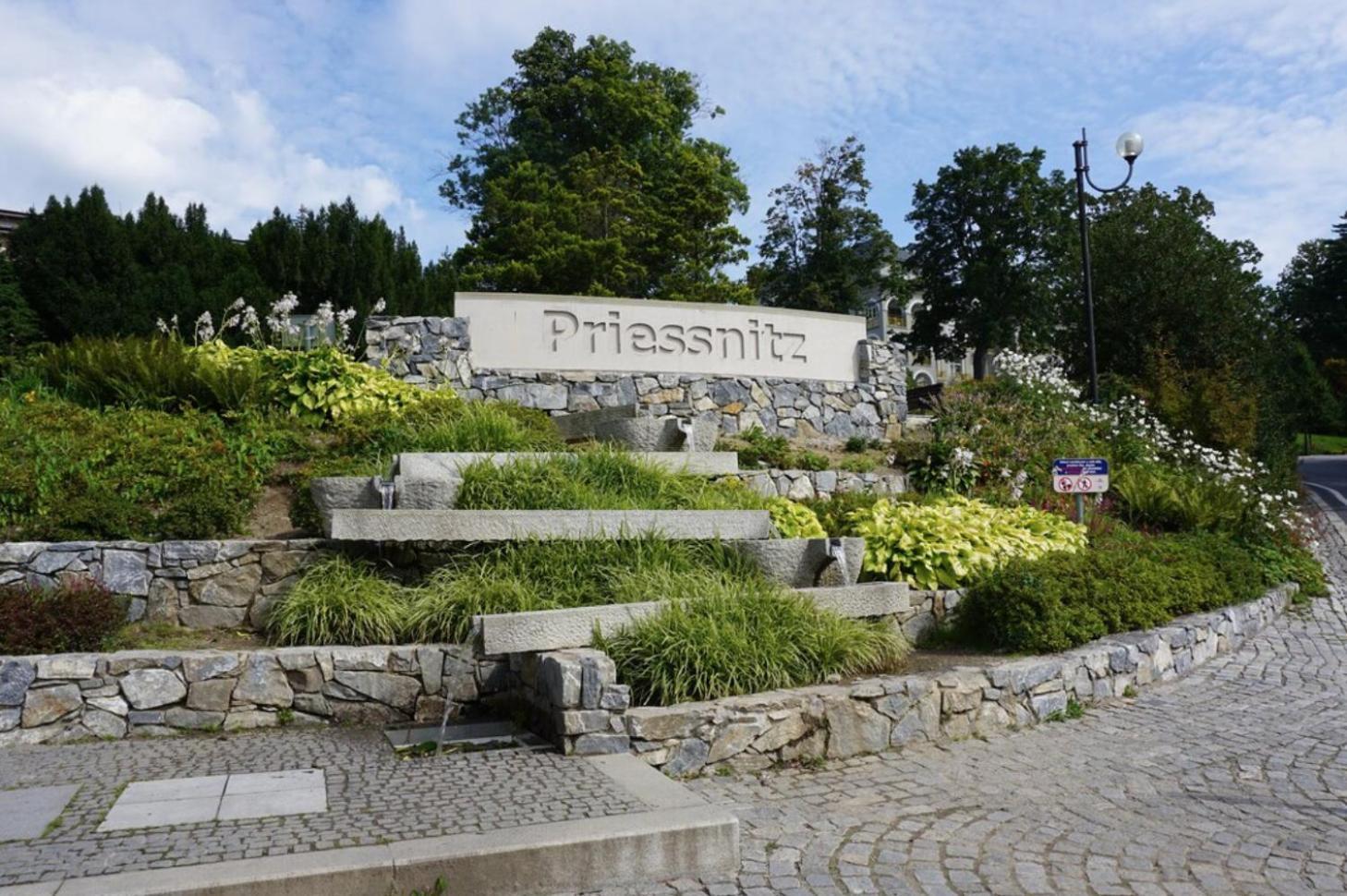 Apartmany New Forest Retreat - U Lesa, S Parkovanim, 300Mbit Internet Jeseník Dış mekan fotoğraf