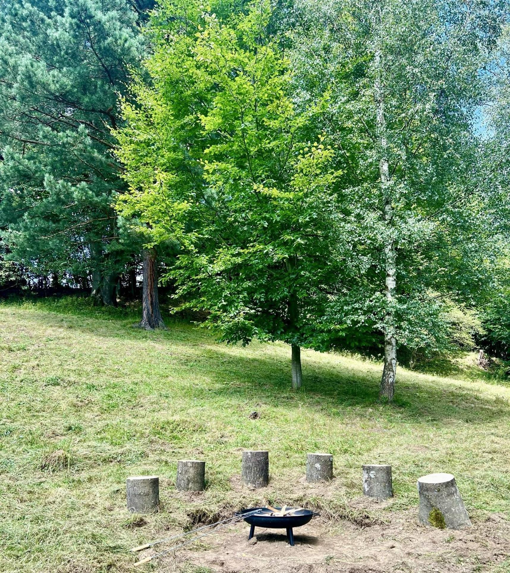 Apartmany New Forest Retreat - U Lesa, S Parkovanim, 300Mbit Internet Jeseník Dış mekan fotoğraf